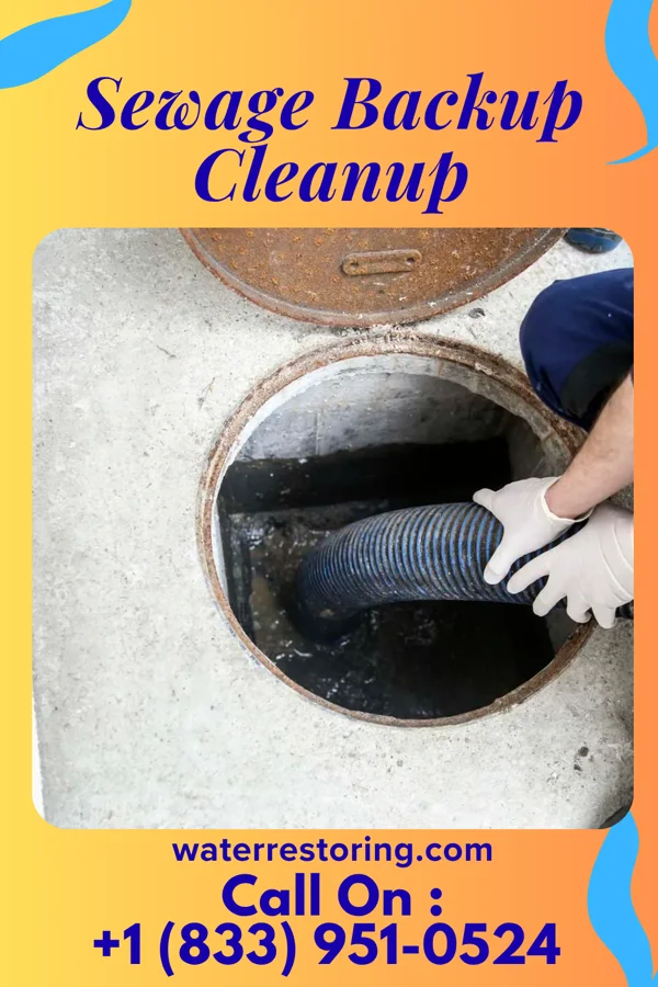 Sewage Backup Cleanup in Clear Lake, IN