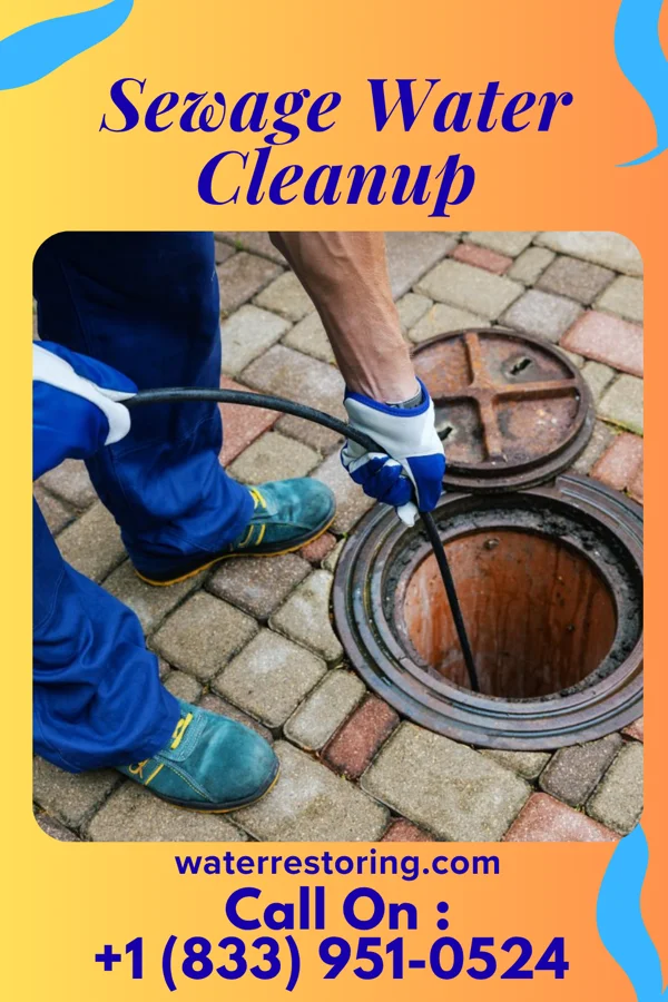 Sewage Water Cleanup in Clear Lake, IN
