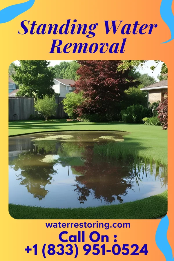 Standing Water Removal in Clear Lake, IN